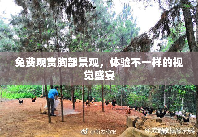 免费观赏胸部景观，体验不一样的视觉盛宴