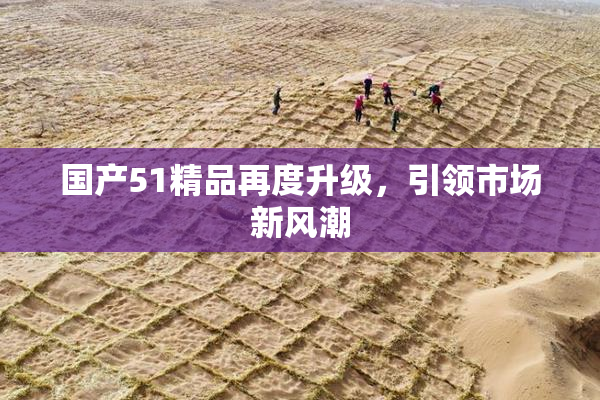 国产51精品再度升级，引领市场新风潮