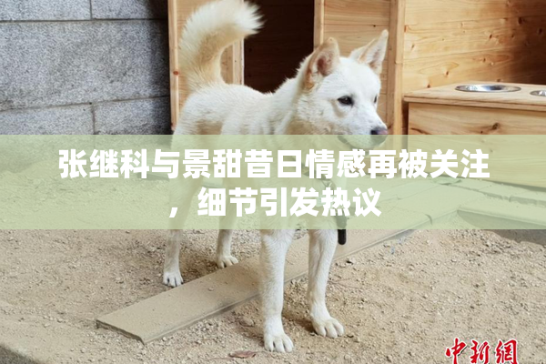 张继科与景甜昔日情感再被关注，细节引发热议