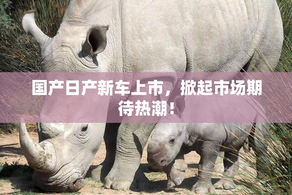 国产日产新车上市，掀起市场期待热潮！