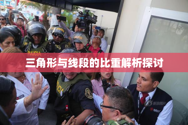 三角形与线段的比重解析探讨