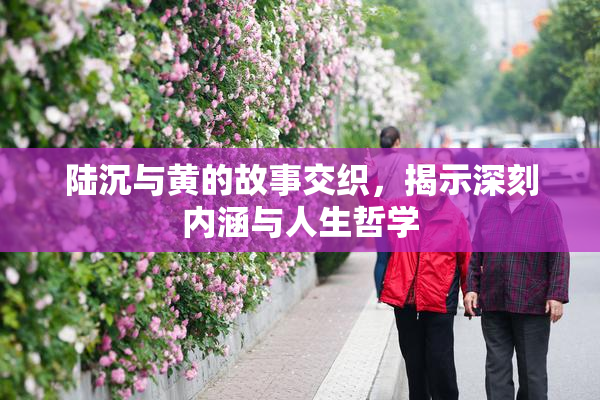 陆沉与黄的故事交织，揭示深刻内涵与人生哲学