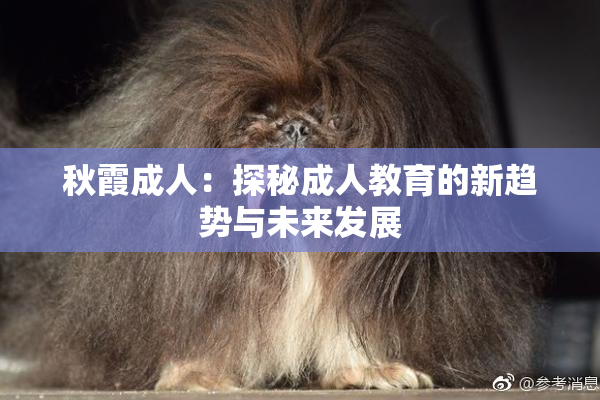 秋霞成人：探秘成人教育的新趋势与未来发展
