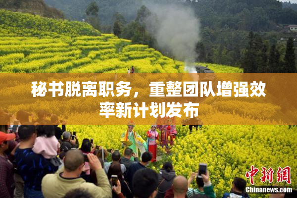 秘书脱离职务，重整团队增强效率新计划发布