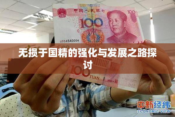 无损于国精的强化与发展之路探讨