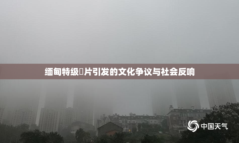 缅甸特级婬片引发的文化争议与社会反响