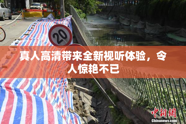 真人高清带来全新视听体验，令人惊艳不已