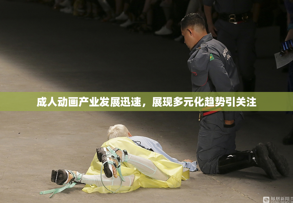 成人动画产业发展迅速，展现多元化趋势引关注