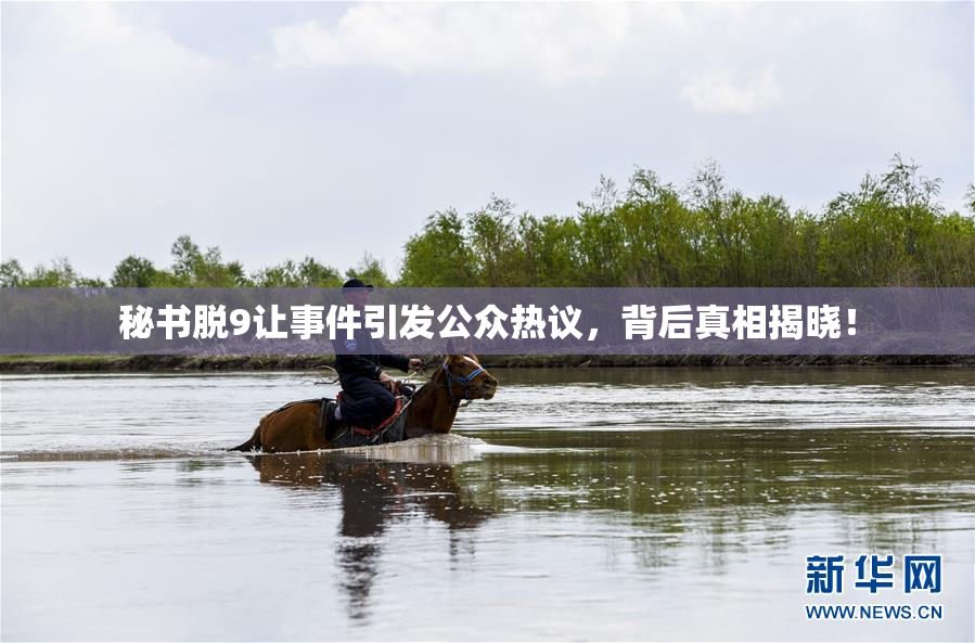 秘书脱9让事件引发公众热议，背后真相揭晓！