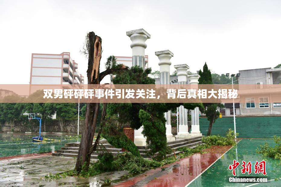 双男砰砰砰事件引发关注，背后真相大揭秘