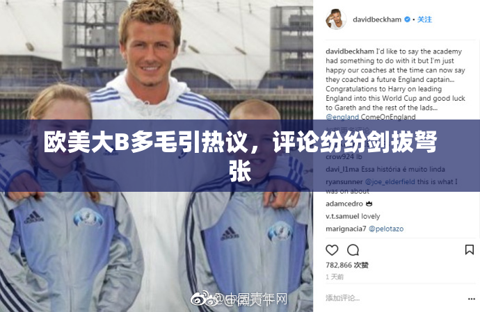 欧美大B多毛引热议，评论纷纷剑拔弩张