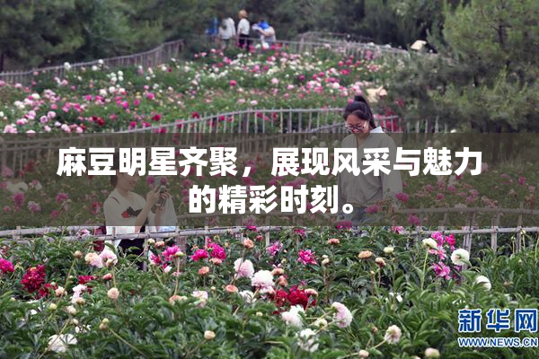 麻豆明星齐聚，展现风采与魅力的精彩时刻。
