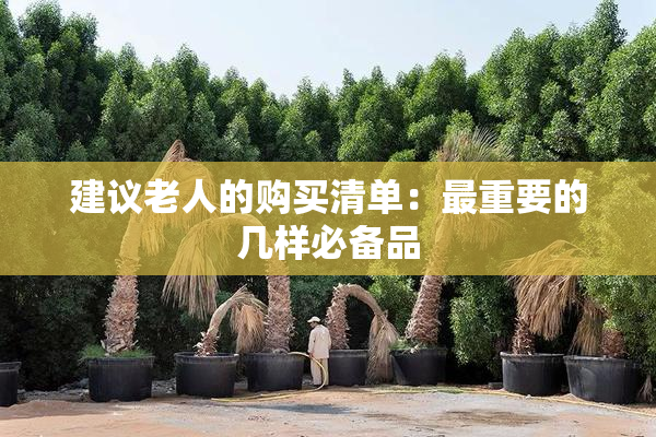 建议老人的购买清单：最重要的几样必备品