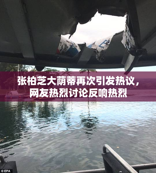 张柏芝大荫蒂再次引发热议，网友热烈讨论反响热烈