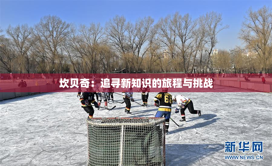 坎贝奇：追寻新知识的旅程与挑战