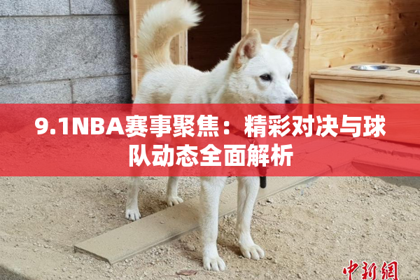 9.1NBA赛事聚焦：精彩对决与球队动态全面解析