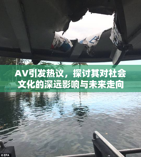 AV引发热议，探讨其对社会文化的深远影响与未来走向