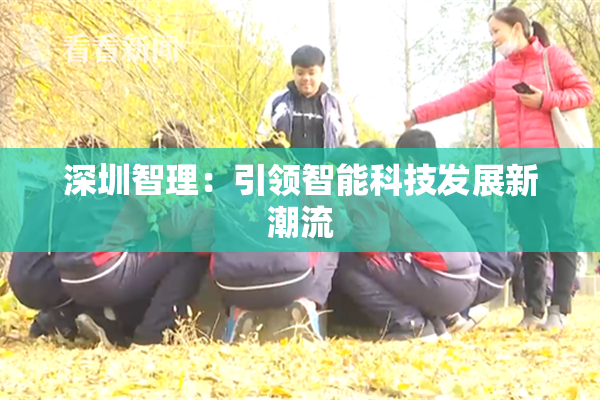 深圳智理：引领智能科技发展新潮流