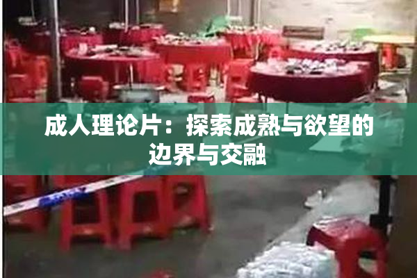 成人理论片：探索成熟与欲望的边界与交融