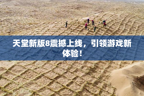 天堂新版8震撼上线，引领游戏新体验！