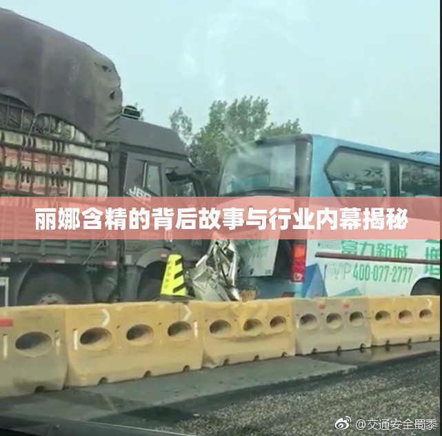 丽娜含精的背后故事与行业内幕揭秘