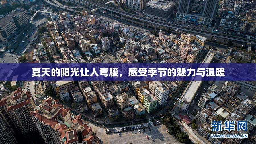 夏天的阳光让人弯腰，感受季节的魅力与温暖