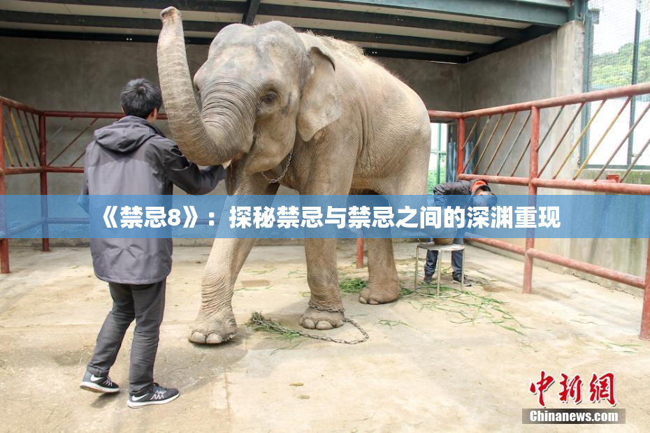 《禁忌8》：探秘禁忌与禁忌之间的深渊重现