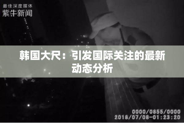 韩国大尺：引发国际关注的最新动态分析