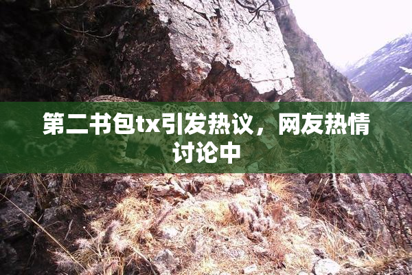 第二书包tx引发热议，网友热情讨论中