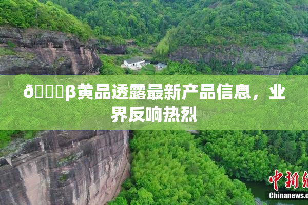 🔞β黄品透露最新产品信息，业界反响热烈