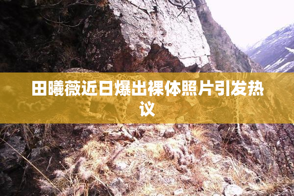 田曦薇近日爆出裸体照片引发热议