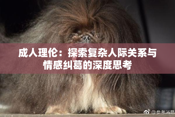 成人理伦：探索复杂人际关系与情感纠葛的深度思考