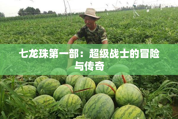 七龙珠第一部：超级战士的冒险与传奇