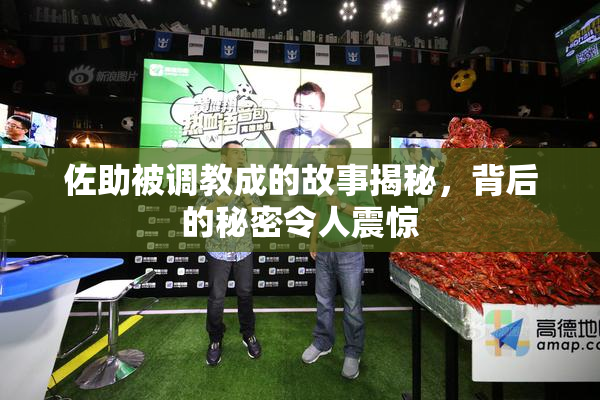 佐助被调教成的故事揭秘，背后的秘密令人震惊