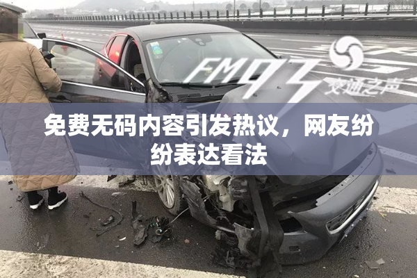 免费无码内容引发热议，网友纷纷表达看法