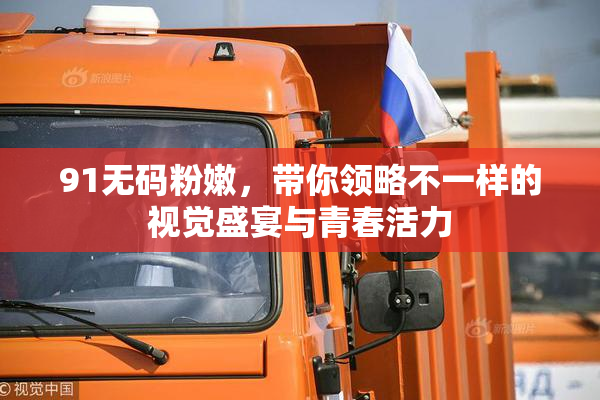 91无码粉嫩，带你领略不一样的视觉盛宴与青春活力