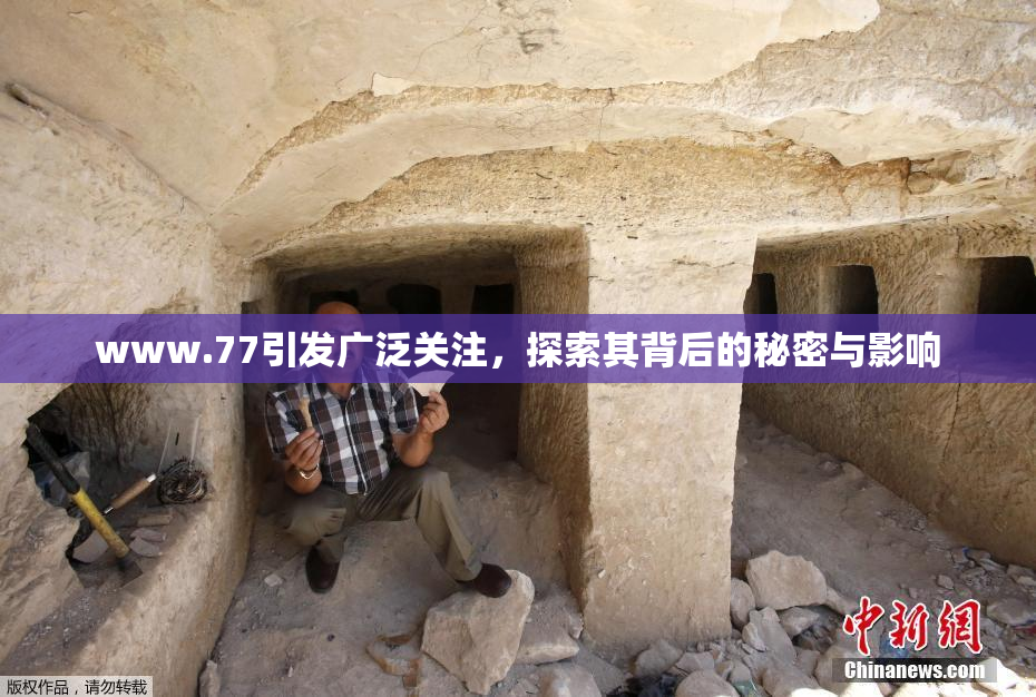 www.77引发广泛关注，探索其背后的秘密与影响