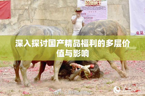 深入探讨国产精品福利的多层价值与影响