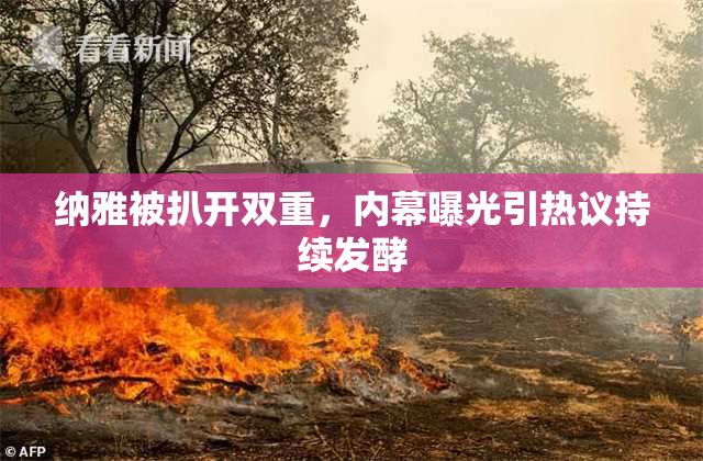 纳雅被扒开双重，内幕曝光引热议持续发酵