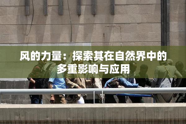 风的力量：探索其在自然界中的多重影响与应用