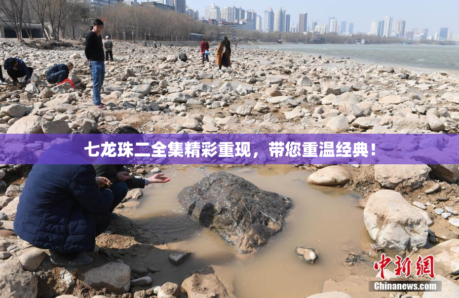 七龙珠二全集精彩重现，带您重温经典！