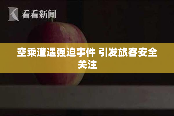 空乘遭遇强迫事件 引发旅客安全关注