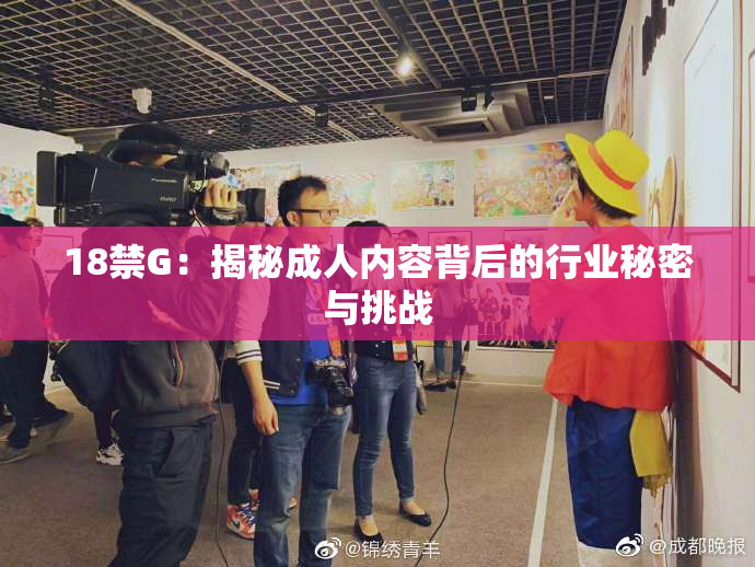 18禁G：揭秘成人内容背后的行业秘密与挑战