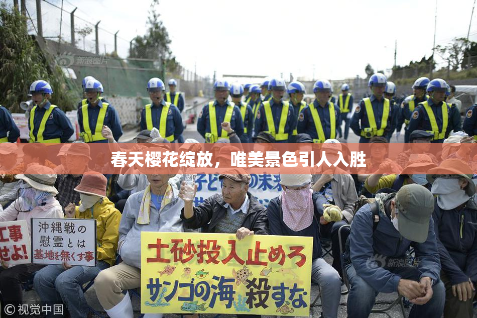 春天樱花绽放，唯美景色引人入胜