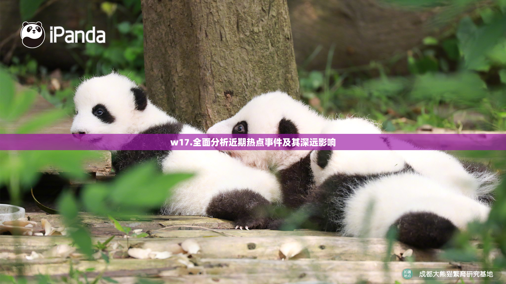 w17.全面分析近期热点事件及其深远影响