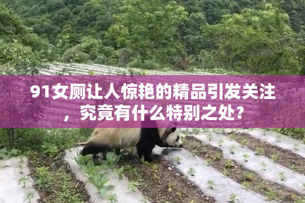 91女厕让人惊艳的精品引发关注，究竟有什么特别之处？