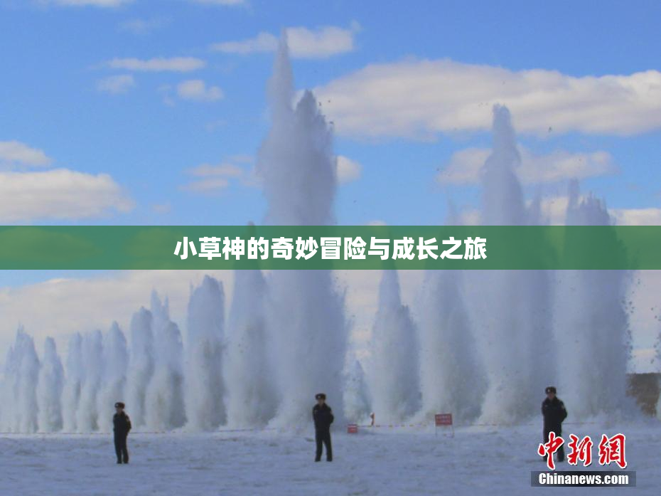 小草神的奇妙冒险与成长之旅