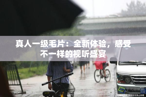 真人一级毛片：全新体验，感受不一样的视听盛宴