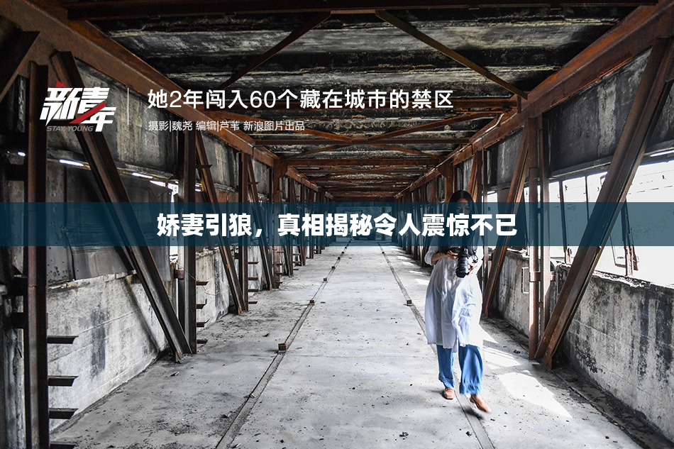 娇妻引狼，真相揭秘令人震惊不已