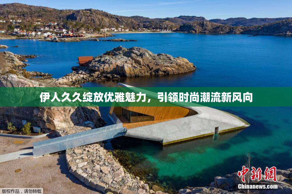 伊人久久绽放优雅魅力，引领时尚潮流新风向